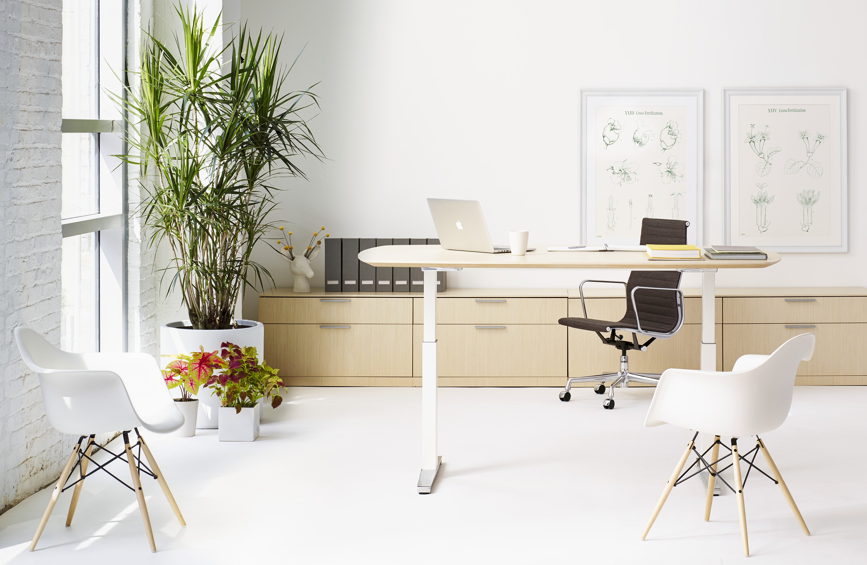 华体会体育官方在线官网 - 坐具|休闲椅|办公家具|华体会体育官方在线官网家具|伊姆斯®塑料扶手椅